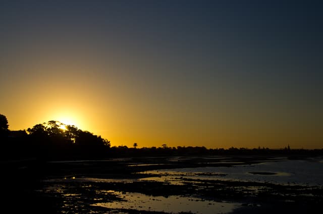 Negative low tides — Gulf sandbar fields