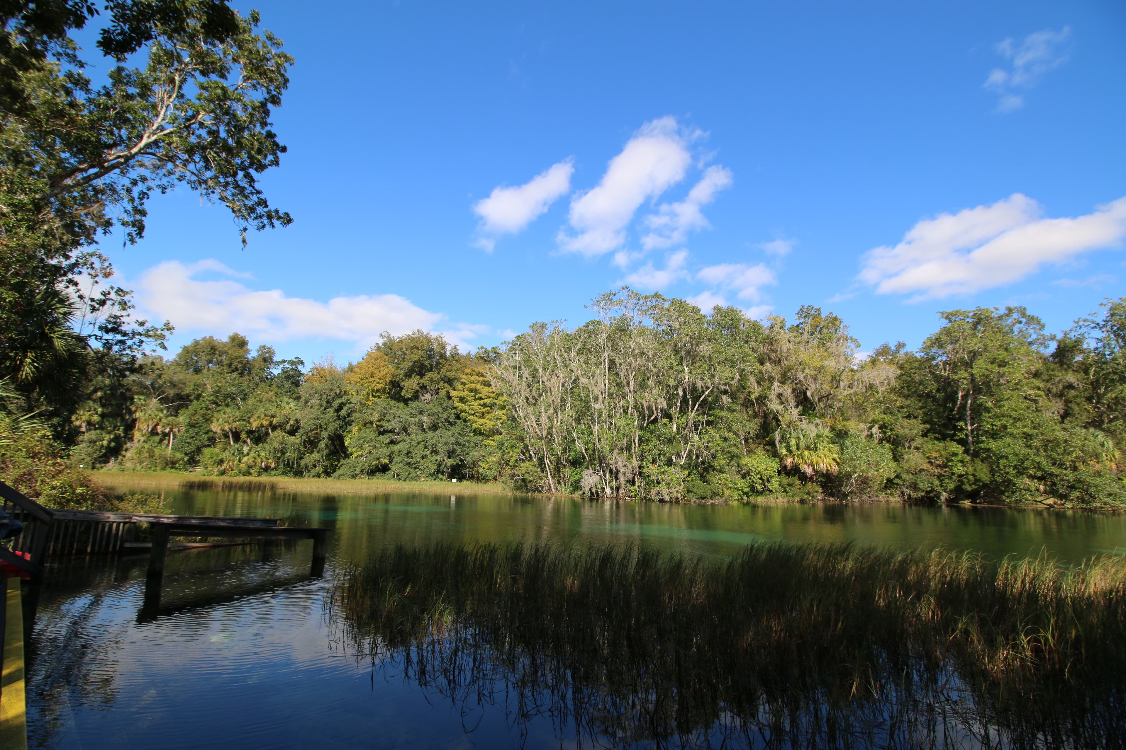 Peak spring clarity — Rainbow, Silver, Weeki Wachee